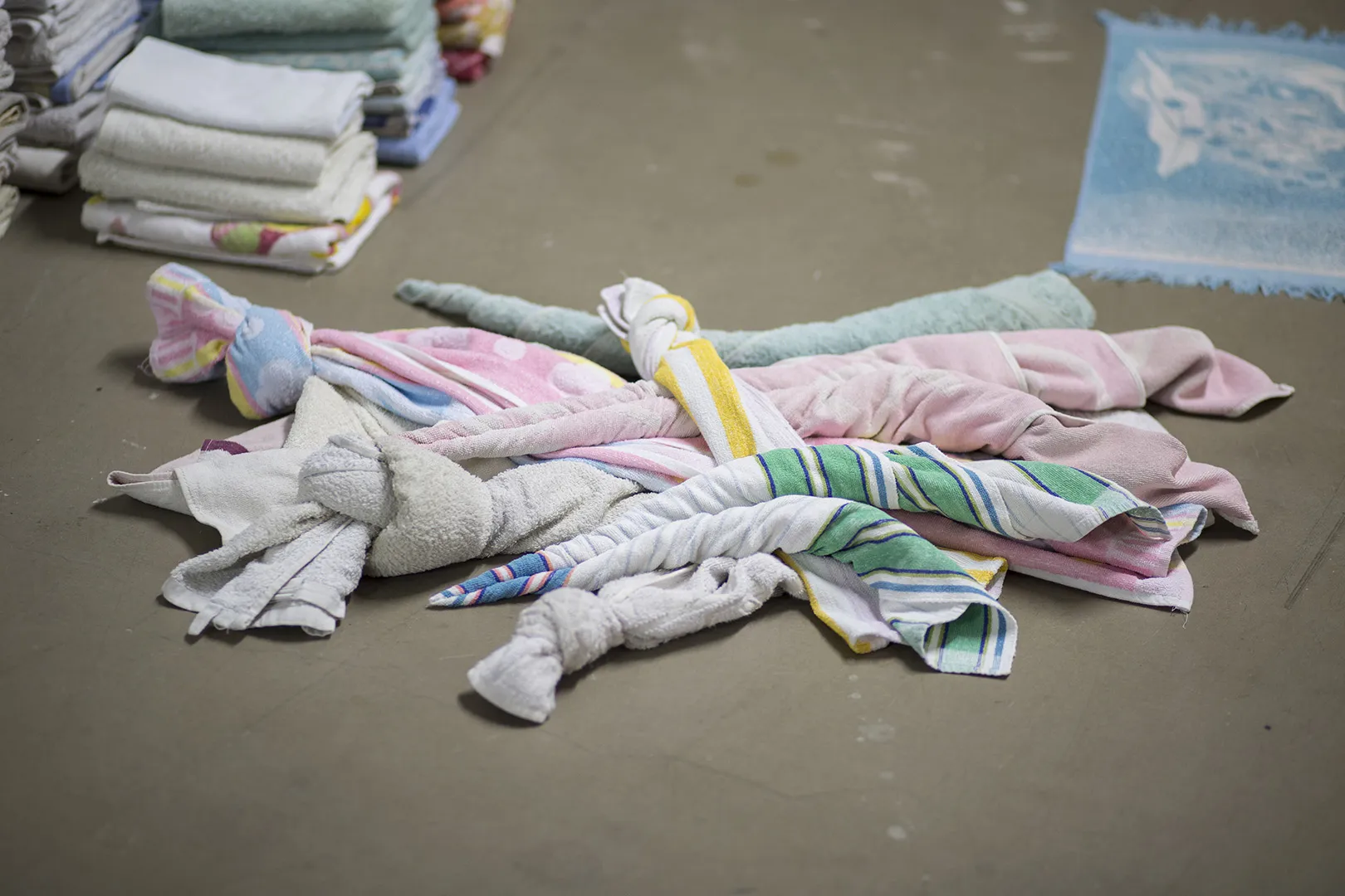 Carrot, blanket party flail & rat’s tail View 11