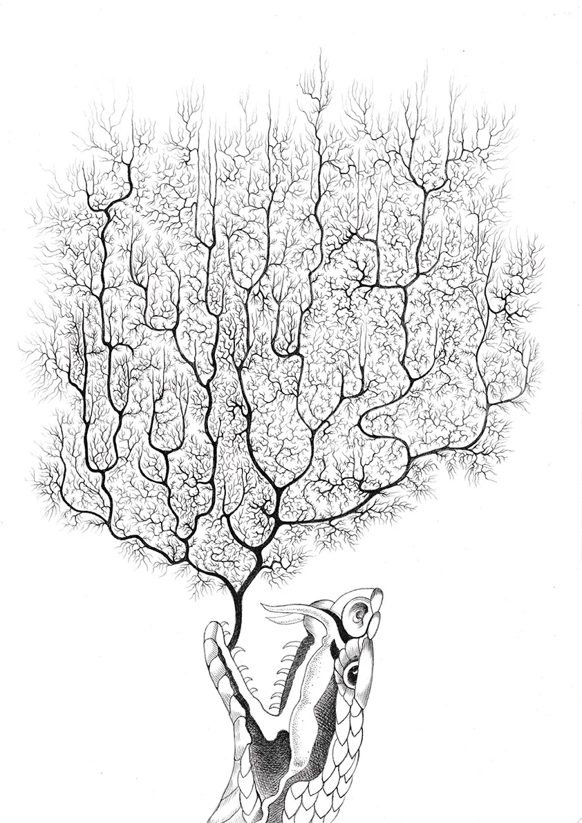 Drawings 2020-2026 View 13