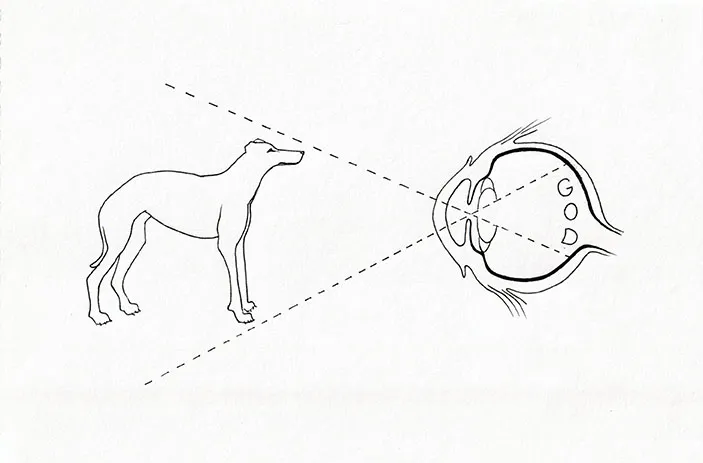 Drawings 2020-2026 View 19