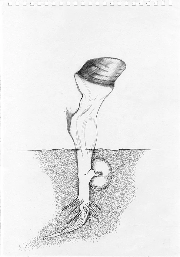 Drawings 2020-2026 View 23