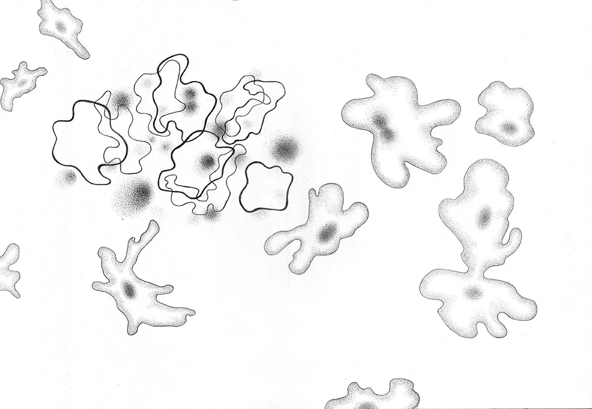 Drawings 2020-2026 View 24