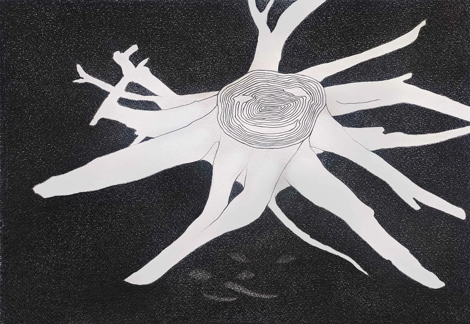 Drawings 2020-2026 View 2