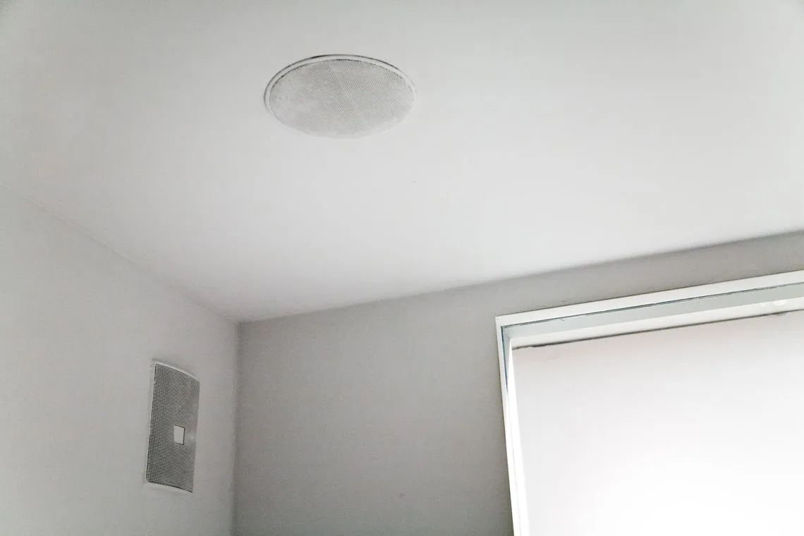 Hunting (venans) View 7