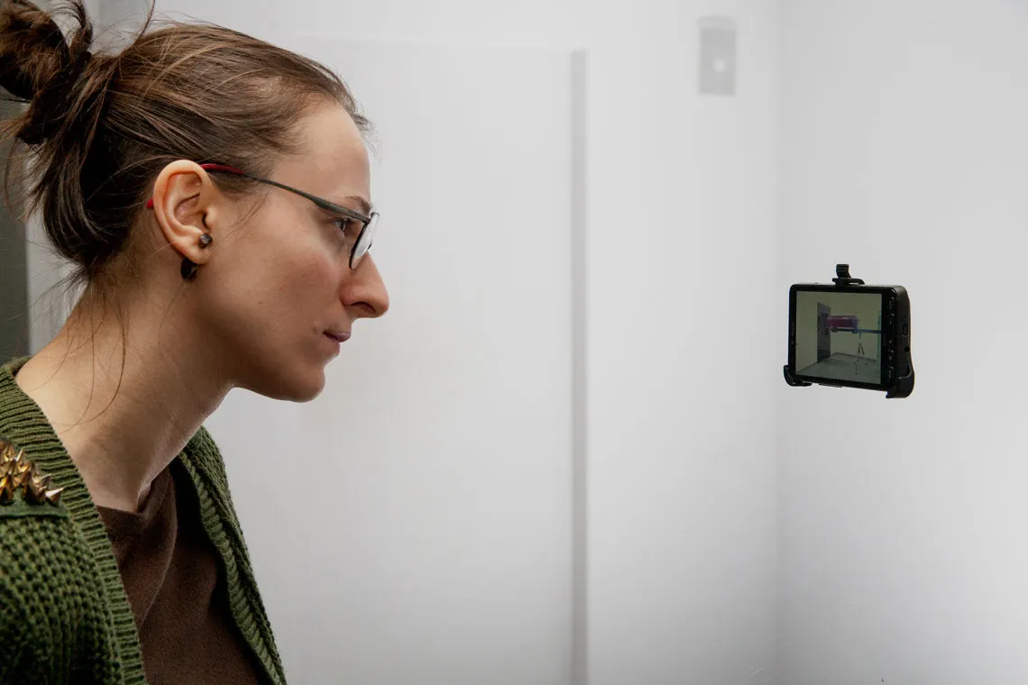 Hunting (venans) View 12