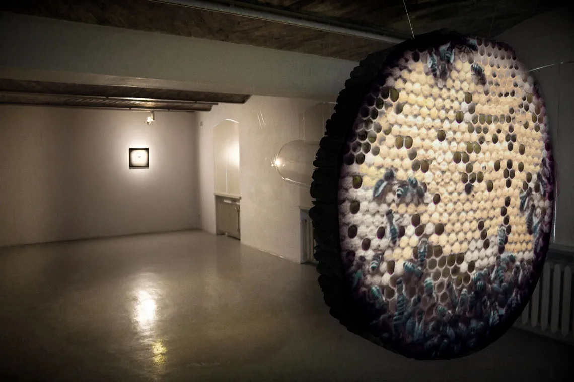 Rekonstruktura View 2