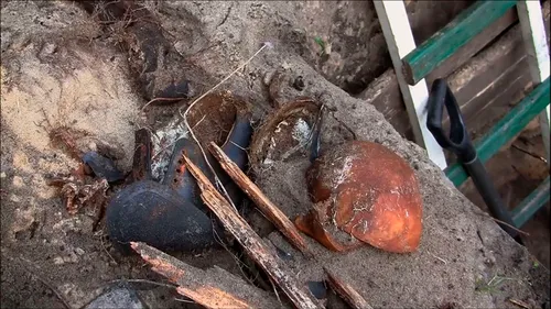 The cannibalism of the eye